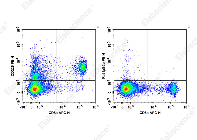 PE Anti-Mouse CD226 Antibody[10E5] - 1