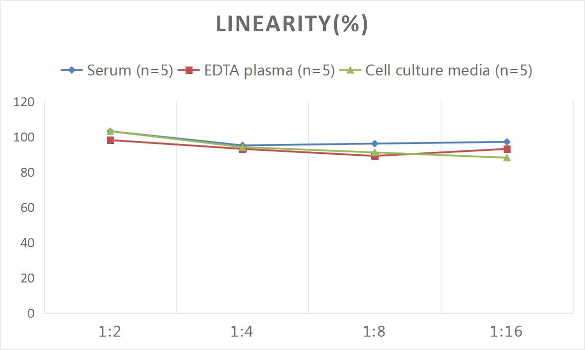 Mouse TLR4(Toll-Like Receptor 4) ELISA Kit - 2