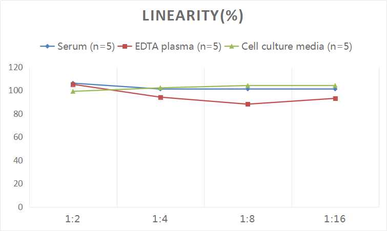 Human GROα/CXCL1(Growth Regulated Oncogene Alpha) ELISA Kit - 2