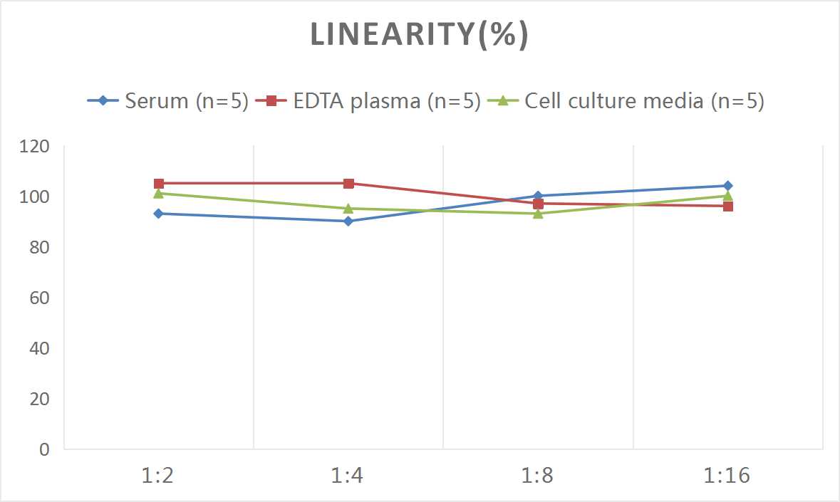 Human Zonulin ELISA Kit - 2