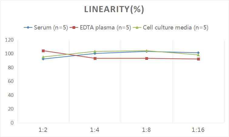 Human IP-10/CXCL10(Interferon Gamma Induced Protein 10kDa) ELISA Kit - 2