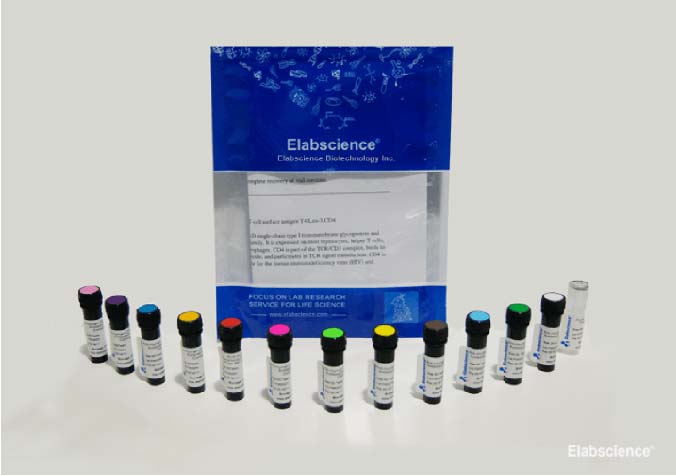 Biotin Anti-Mouse IgD Antibody[11-26c.2a] - 2