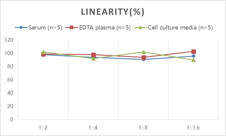 Human ICAM-1/CD54(intercellular adhesion molecule 1) ELISA Kit - small - 2