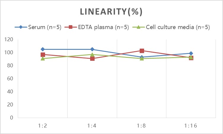 Rat OPG(Osteoprotegerin) ELISA Kit - 2