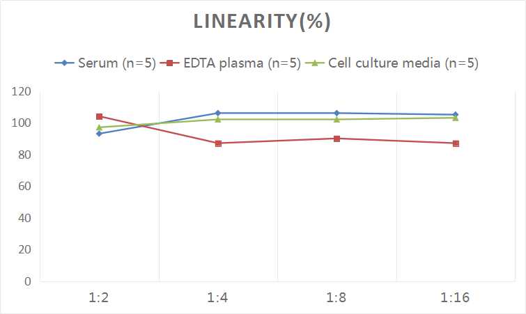 Human Aβ1-40(Amyloid Beta 1-40) ELISA Kit - small - 2