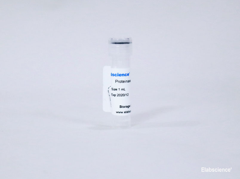 Proteinase K Reagent(10 mg/mL) - 1