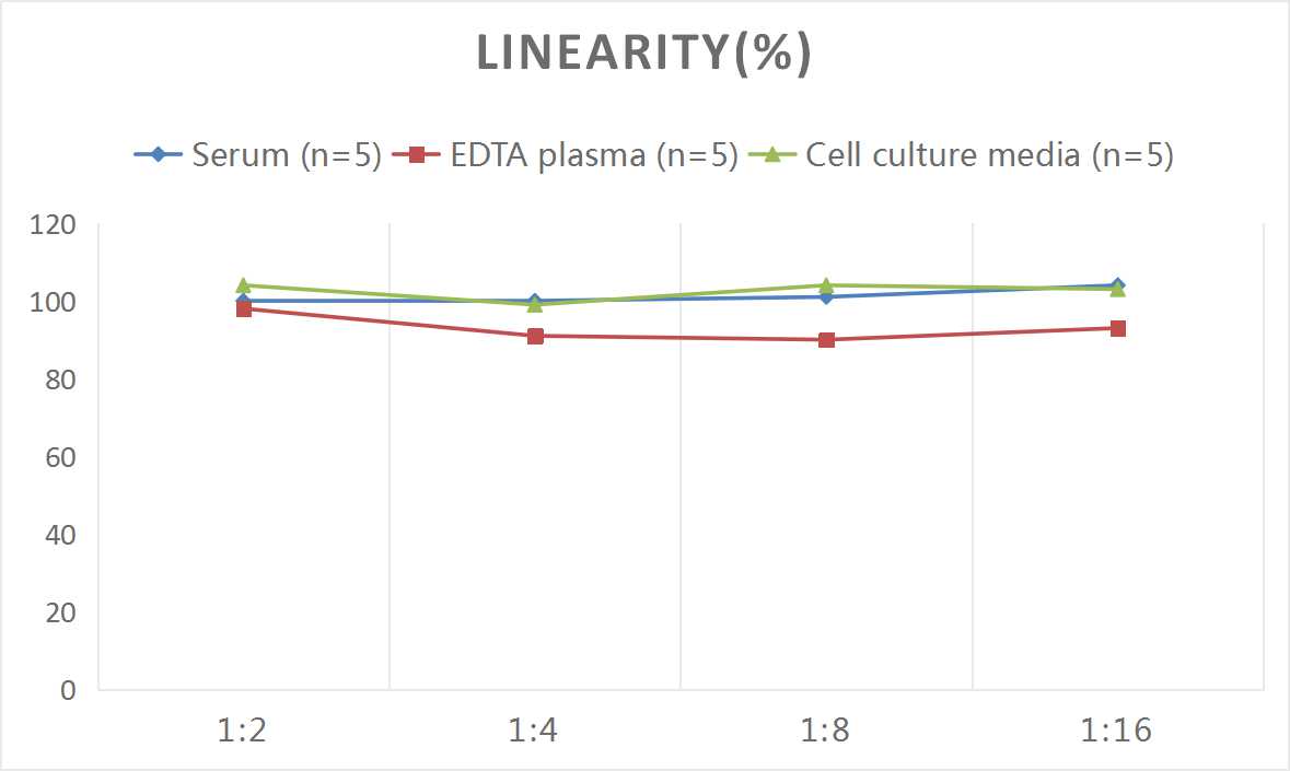 Rat IgG(Immunoglobulin G) ELISA Kit - small - 2