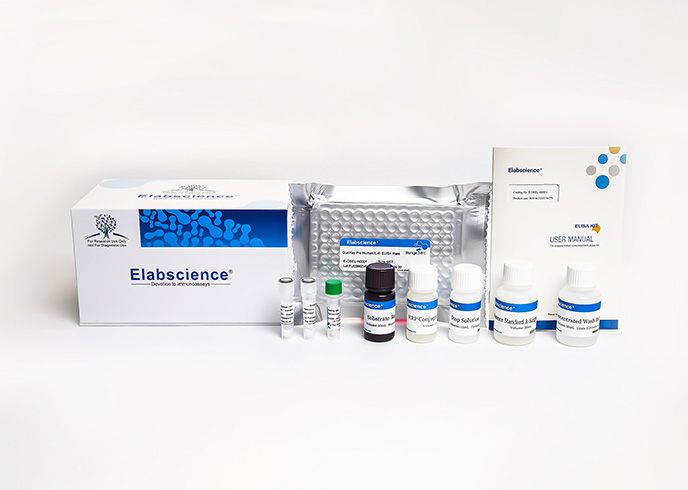 QuicKey Pro Canine E2(Estradiol) ELISA Kit - small - 4