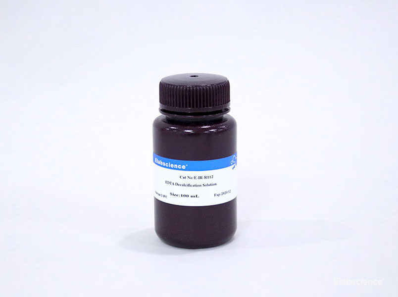 10% EDTA Decalcification Solution - 1