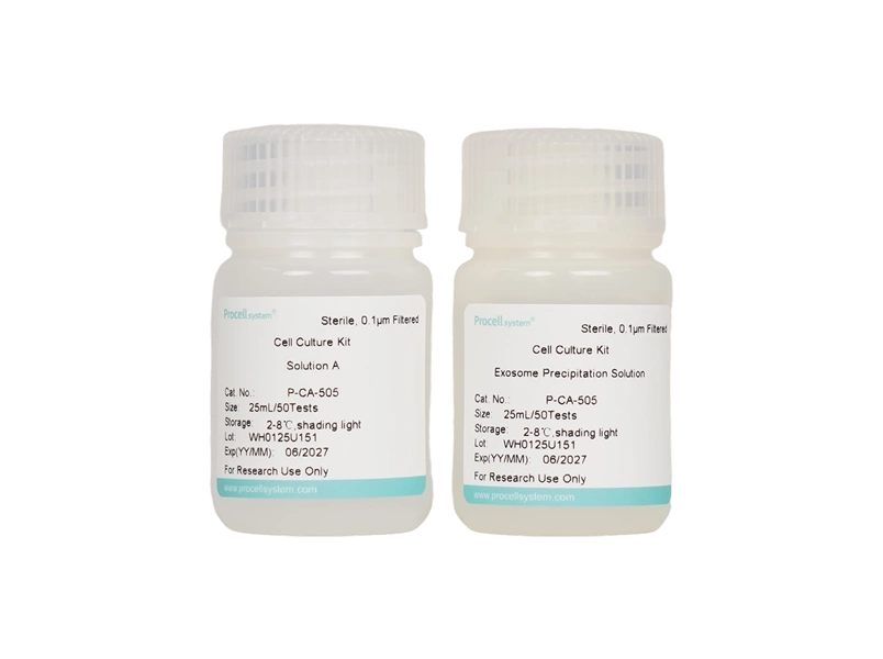 Exosome Isolation Kit (Precipitation) - 2