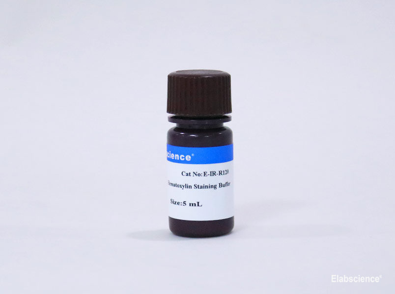 Hematoxylin Staining Buffer - small - 1