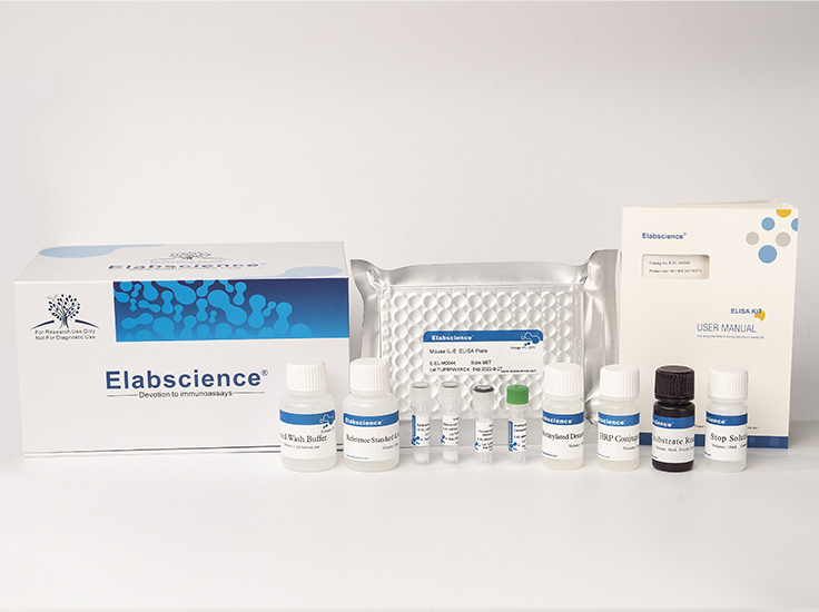 Human Zonulin ELISA Kit - 3