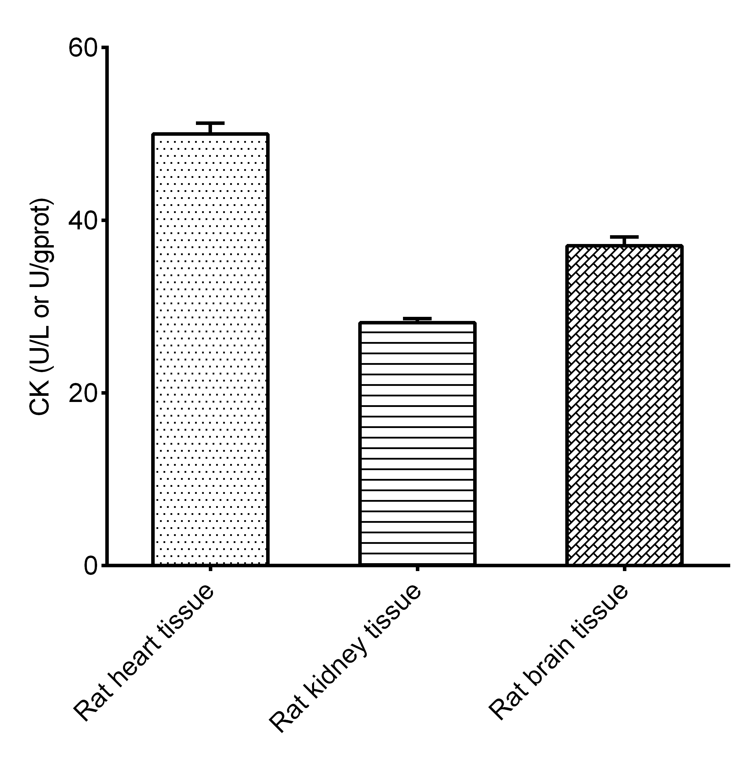 Creatine kinase (CK) Activity Assay Kit - 2