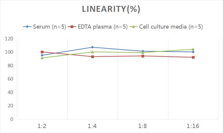 Human Aβ1-42(Amyloid Beta 1-42) ELISA Kit - 2