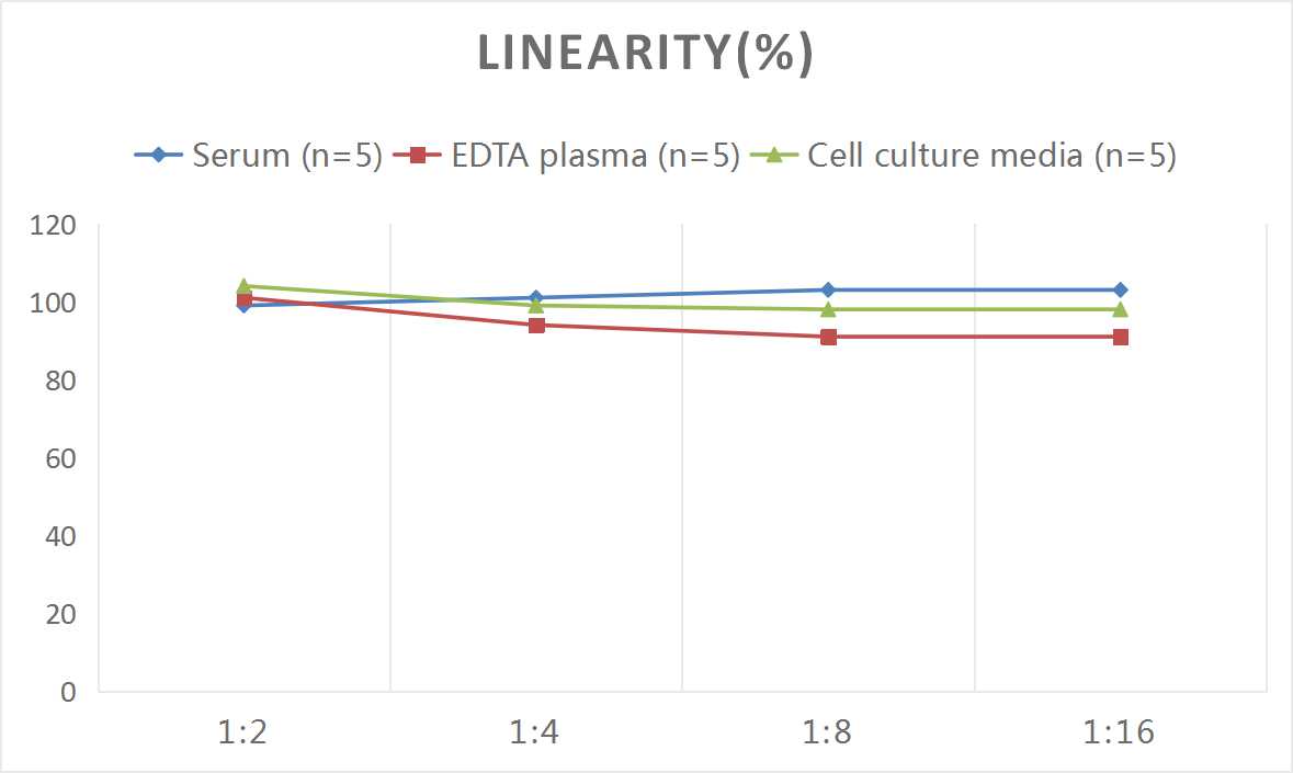 Mouse D-LDH(D-Lactate Dehydrogenase) ELISA Kit - 2