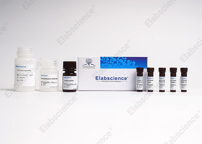 Mouse Th17 Flow Cytometry Staining Kit - 2