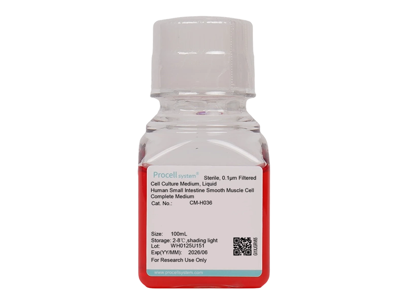 Human Small Intestine Smooth Muscle Cell Complete Medium - 1
