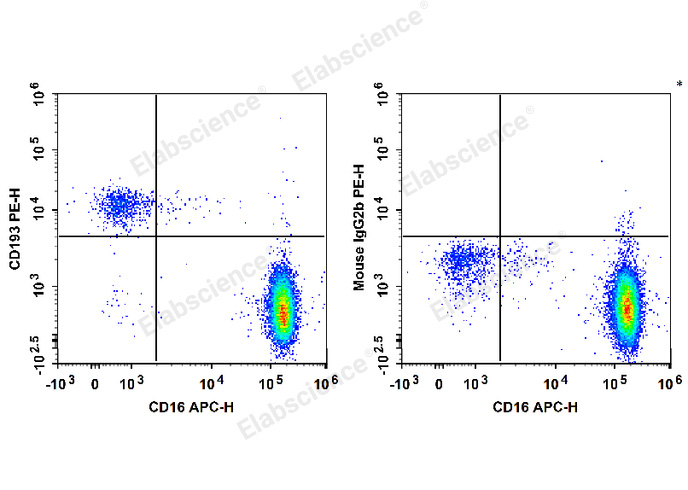 PE Anti-Human CD193/CCR3 Antibody[5E8] - 1