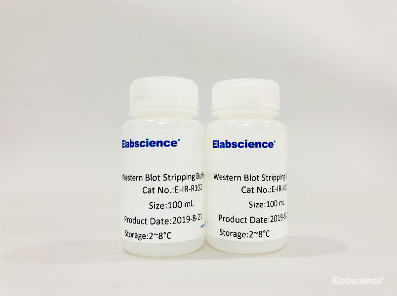 Western Blot Stripping Buffer (Neutral) - 1