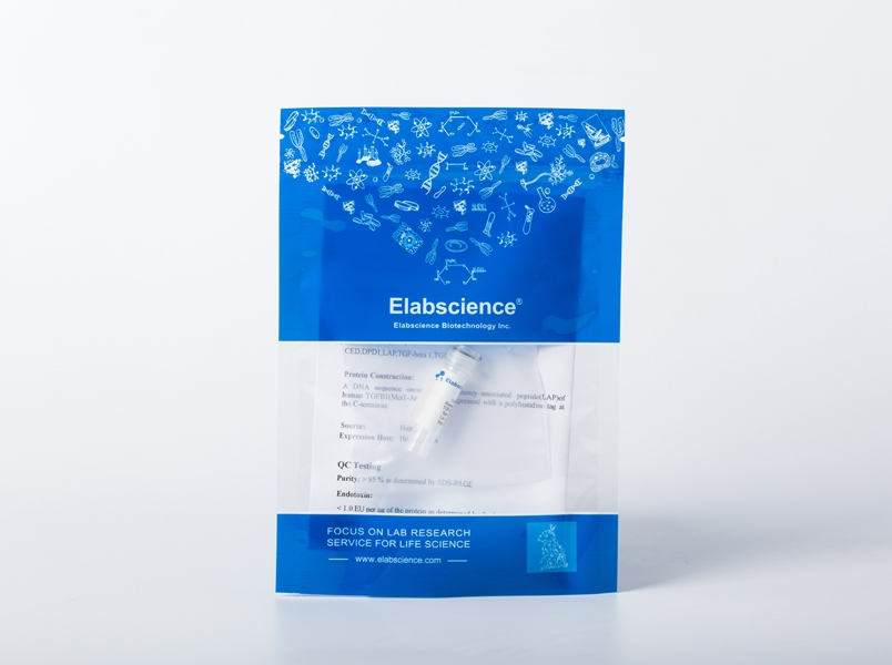 Recombinant Human IL-1α Protein - 1