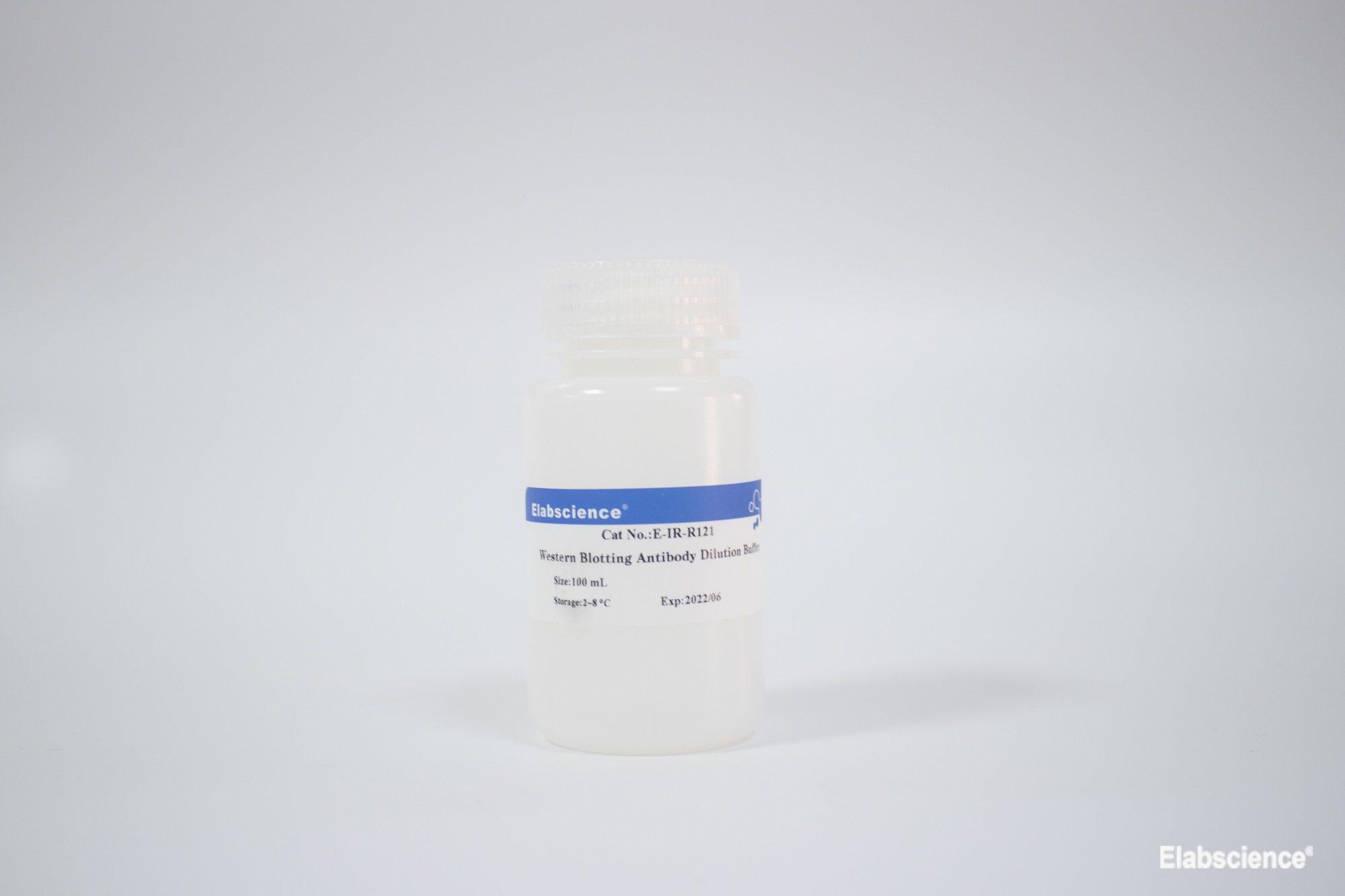 Western Blotting Antibody Dilution Buffer - 1