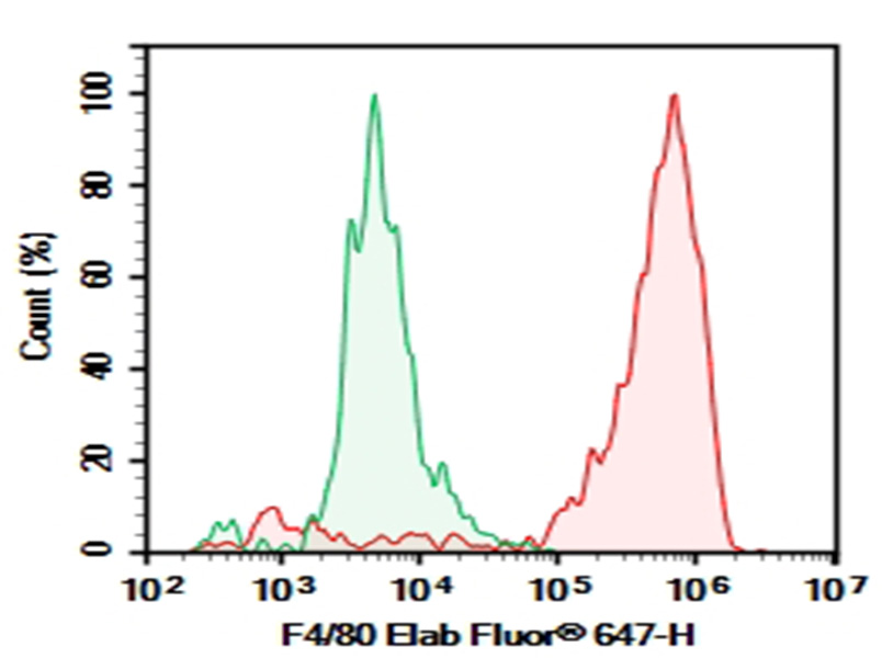Purified Anti-Mouse F4/80 Antibody[CI:A3-1] - 1