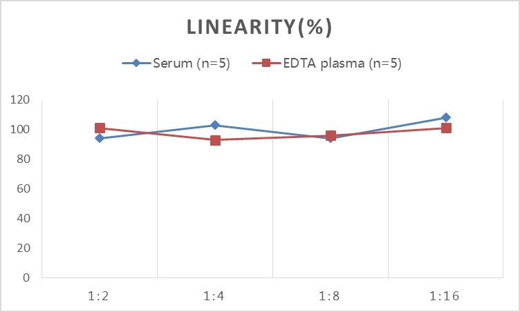 SARS-CoV-2 Nucleocapsid Protein ELISA Kit - 2