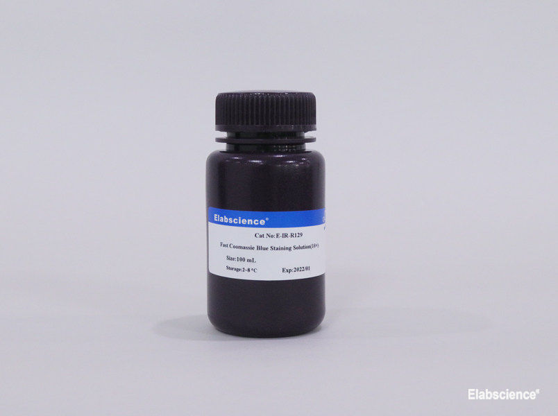Fast Coomassie Blue Staining Solution (10×) - 1