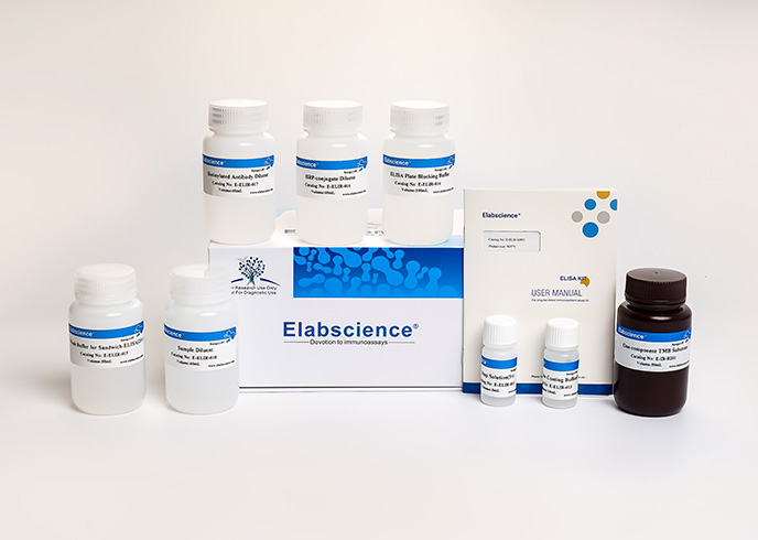 Ancillary Reagent Kit - 3