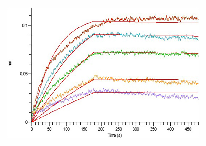Recombinant Mouse Leptin - 3