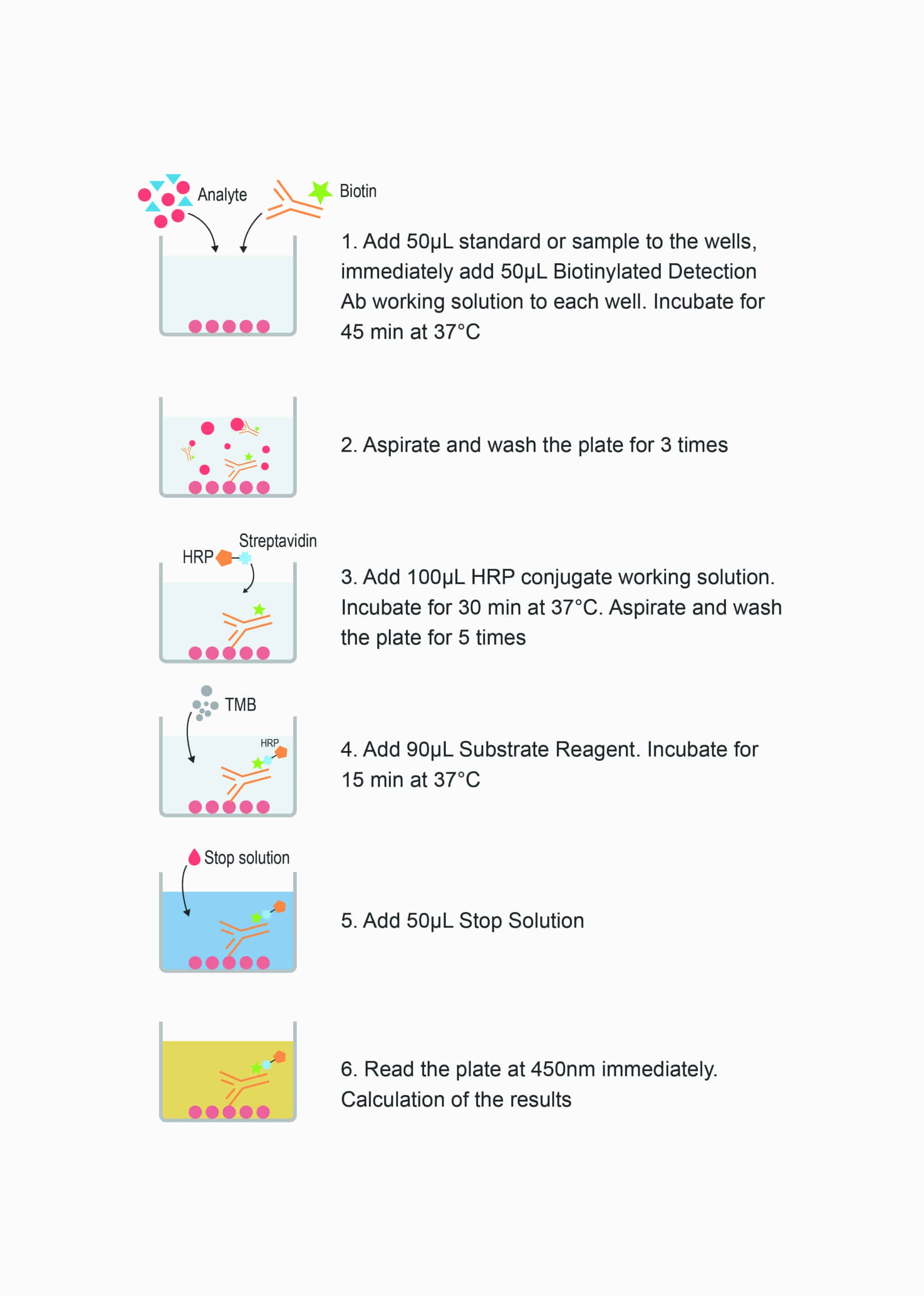Human β-EP(Beta-Endorphin) ELISA Kit - procedures