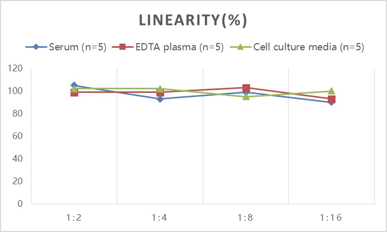 Rat COL1(Collagen Type Ⅰ) ELISA Kit - 2