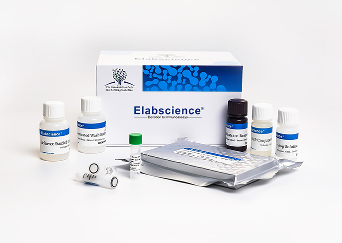 QuicKey Pro Canine E2(Estradiol) ELISA Kit - small - 5