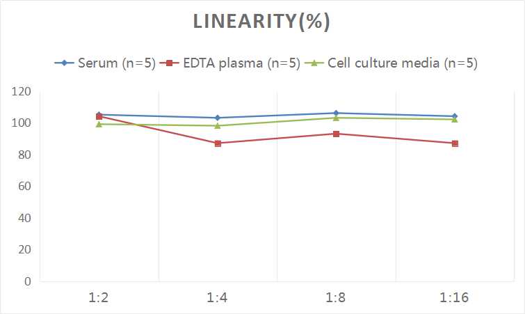 Human VEGF-A(Vascular Endothelial Cell Growth Factor A) ELISA Kit - 2