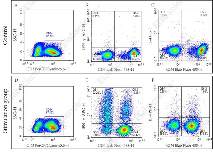 Human Th1/Th2 Flow Cytometry Staining Kit - 1