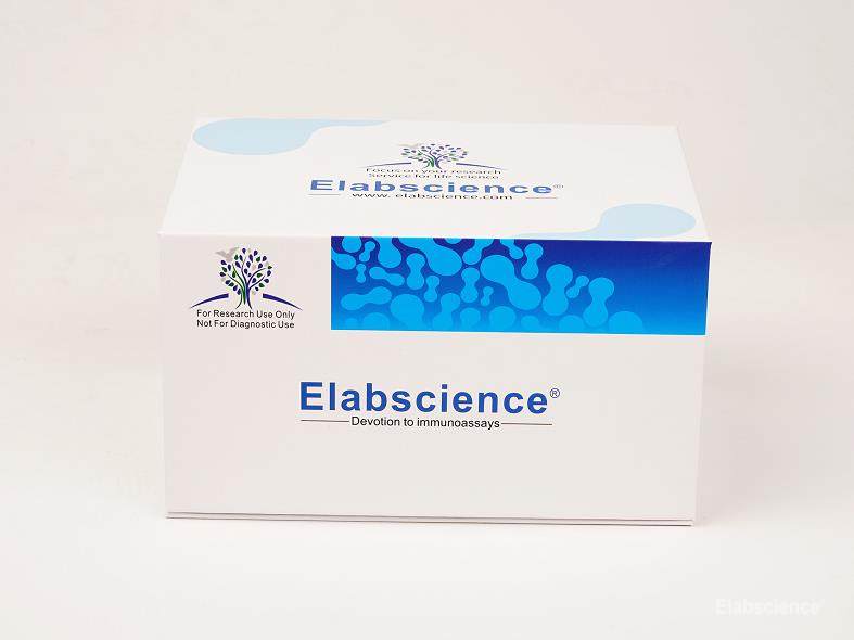 SARS-CoV-2 Nucleocapsid Protein IgG ELISA Kit - 1