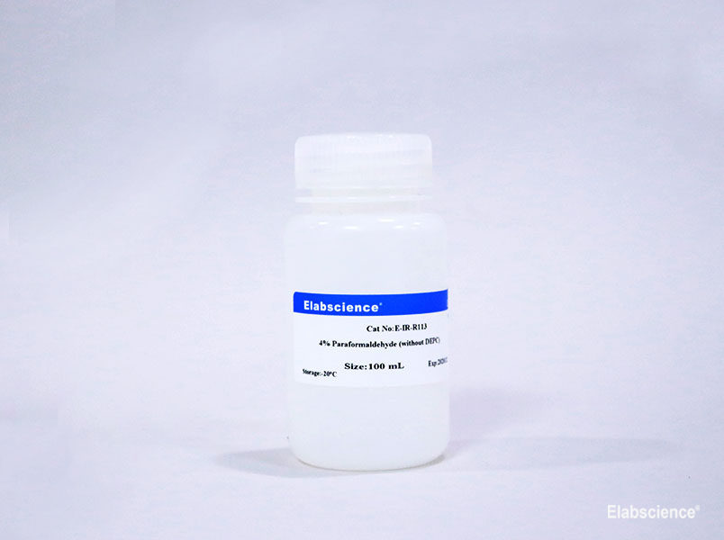 Tissue Fixation Solution / 4% Paraformaldehyde (without DEPC) - 1