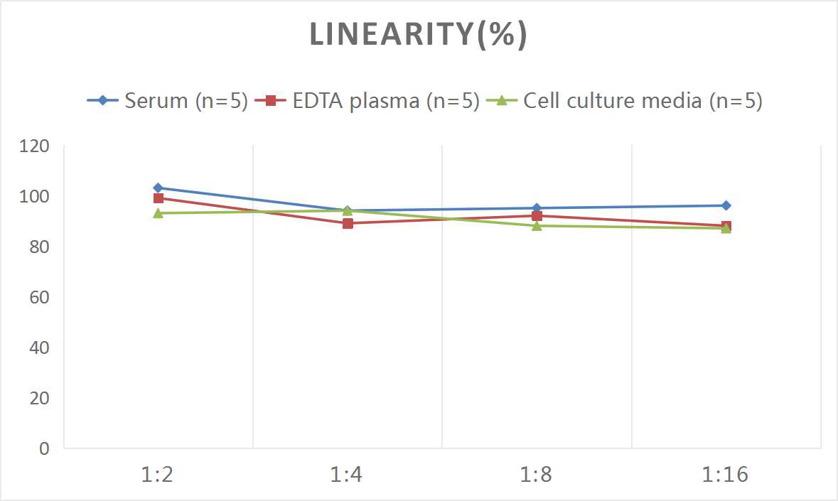 Mouse NT-proBNP(N-terminal pro-Brain Natriuretic Peptide) ELISA Kit - 2