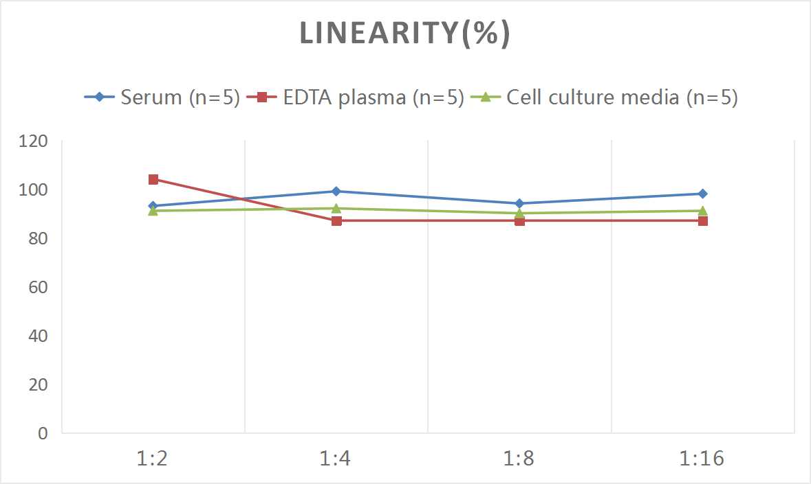 Rat CGRP1(Calcitonin Gene Related Peptide 1) ELISA Kit - 2