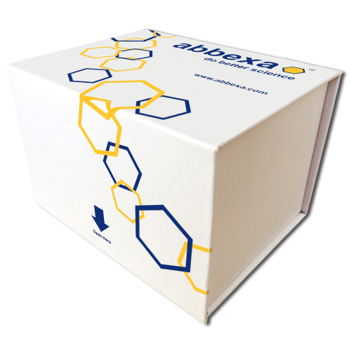 Human Acylglycerol Kinase (AGK) CLIA Kit Human Acylglycerol Kinase (AGK) CLIA Kit