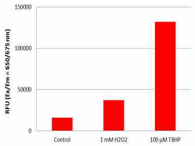 Result Data