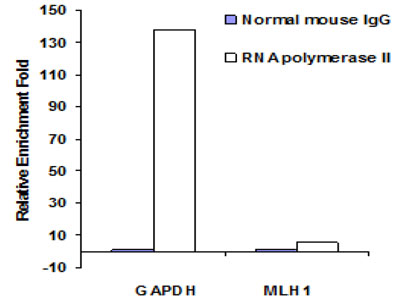 Result Data