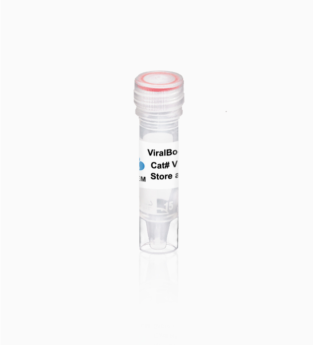 ViralBoost Reagent