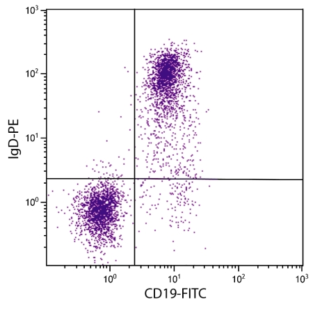 BALB/c mouse splenocytes