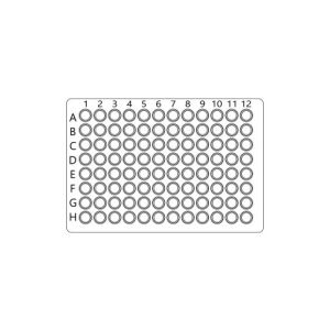 hCG Beta Colorimetric Cell-Based ELISA Kit (OKAG00761)