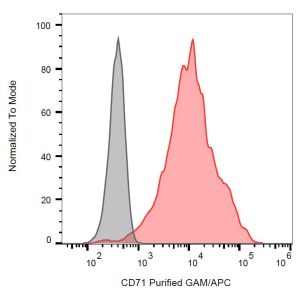K562 cells