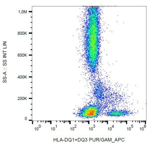 Human peripheral blood cells