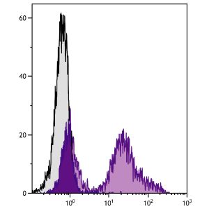 C57BL/6 mouse splenocytes