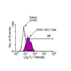 YAC-1