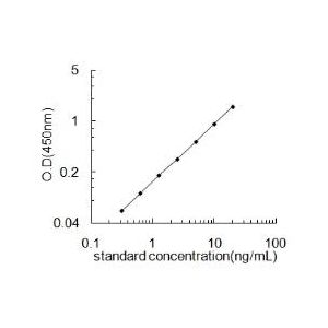 KYNU ELISA standard curve